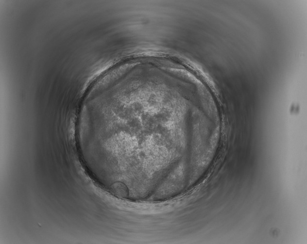 X0000097600010200803141926