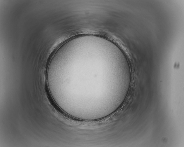 X0000097600011200803141926