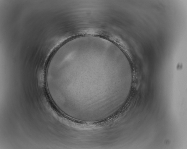 X0000097600012200803141926