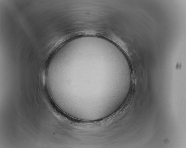 X0000097600013200803141926