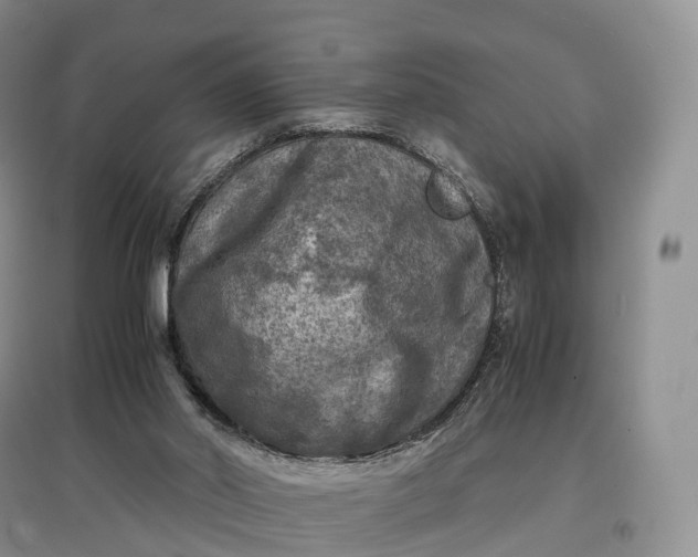 X0000097600014200803141926
