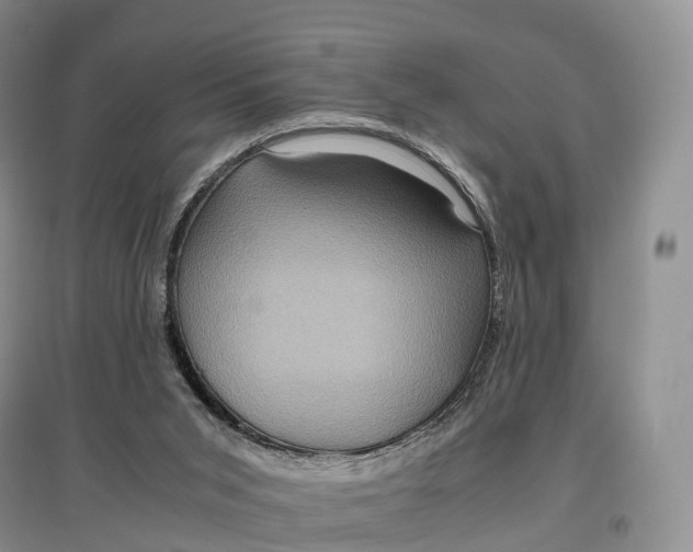 X0000097600015200803141926