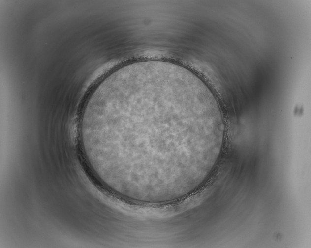 X0000097600016200803141926