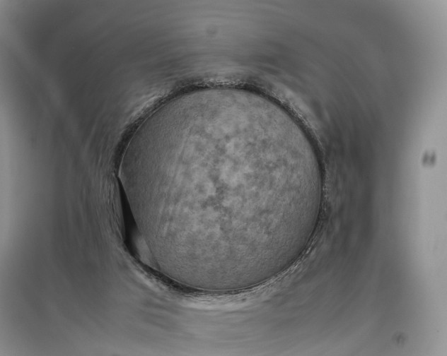 X0000097600017200803141926