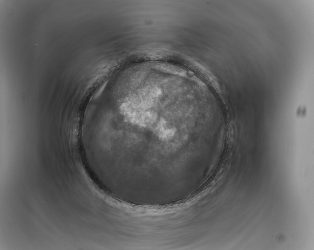 X0000097600018200803141926