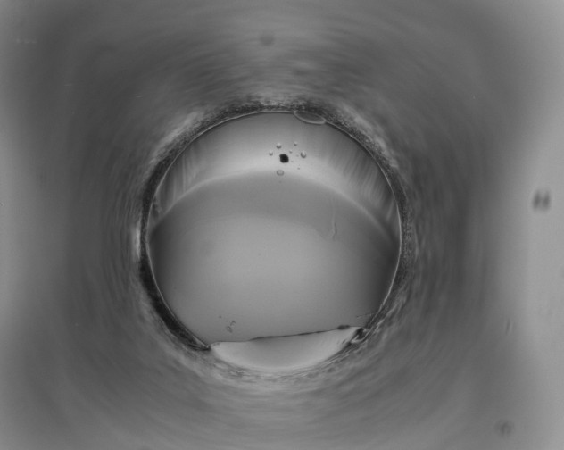 X0000097600019200803141926