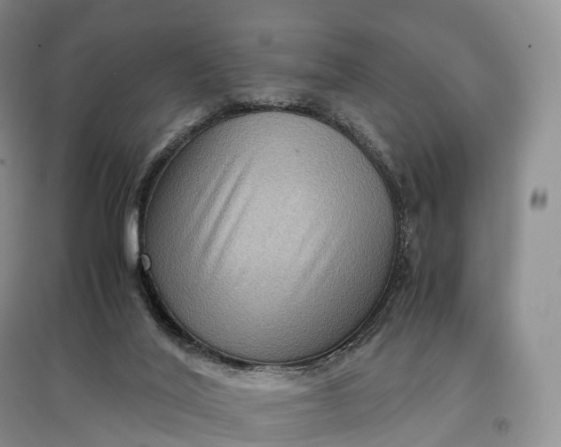 X0000097600020200803141926