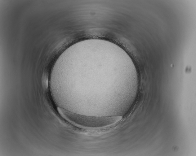 X0000097600021200803141926