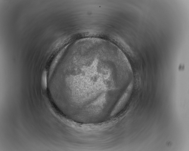 X0000097600022200803141926