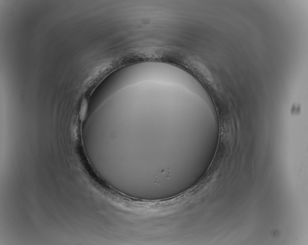 X0000097600023200803141926