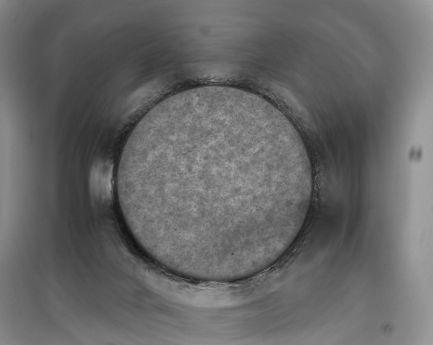 X0000097600024200803141926