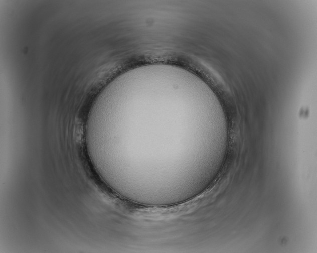 X0000097600025200803141926