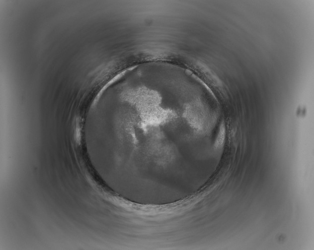 X0000097600026200803141926