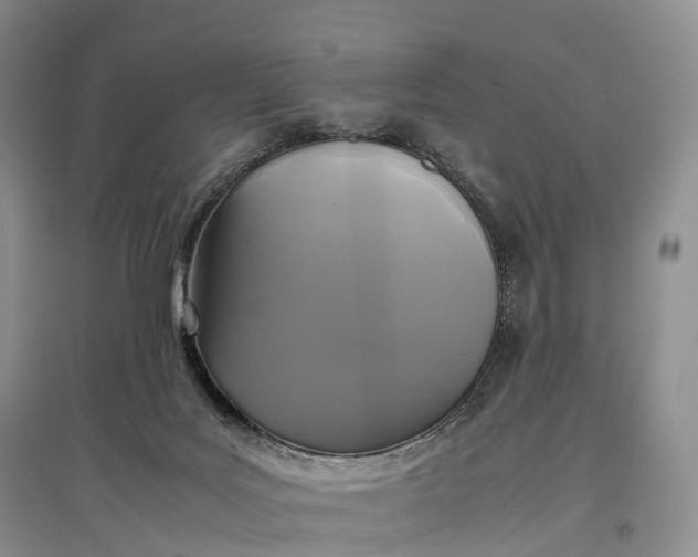X0000097600027200803141926
