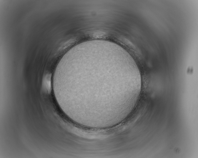X0000097600028200803141926