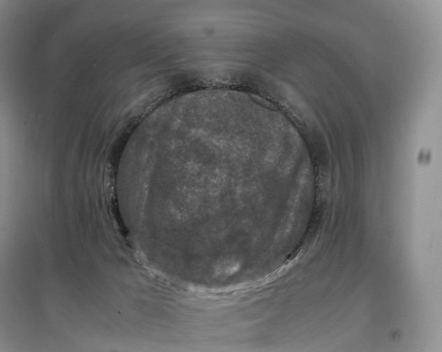 X0000097600029200803141926