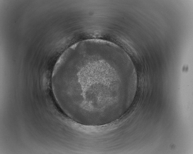 X0000097600030200803141926