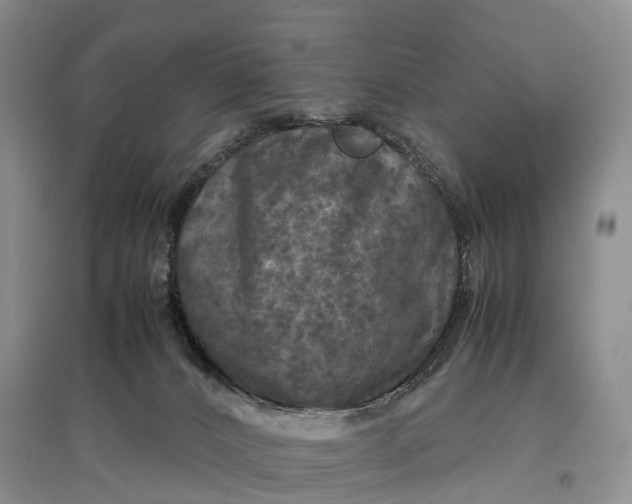 X0000097600032200803141926