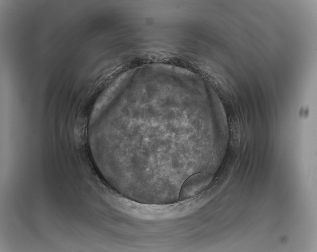 X0000097600034200803141926