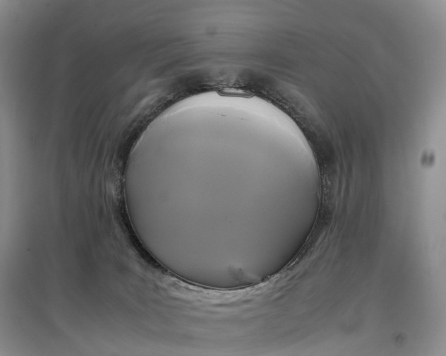 X0000097600035200803141926