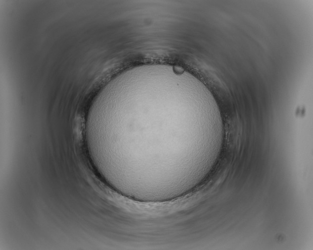 X0000097600038200803141926