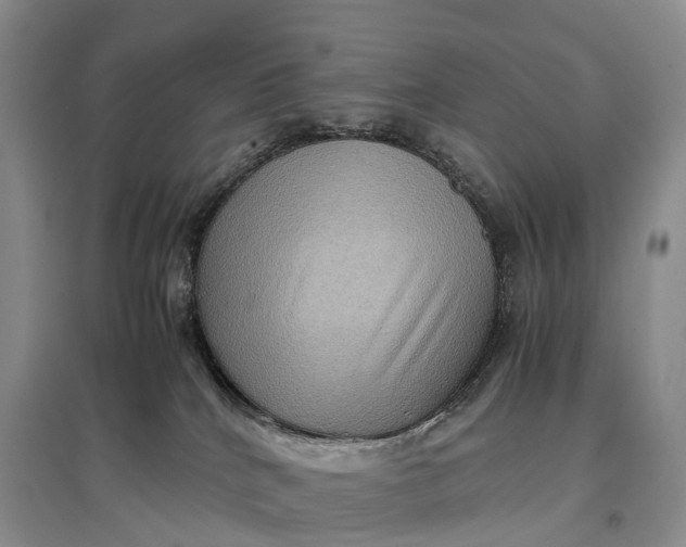 X0000097600040200803141926