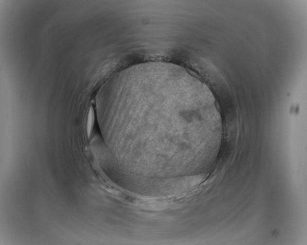 X0000097600041200803141926