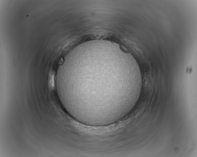 X0000097600042200803141926