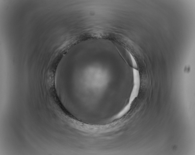 X0000097600043200803141926