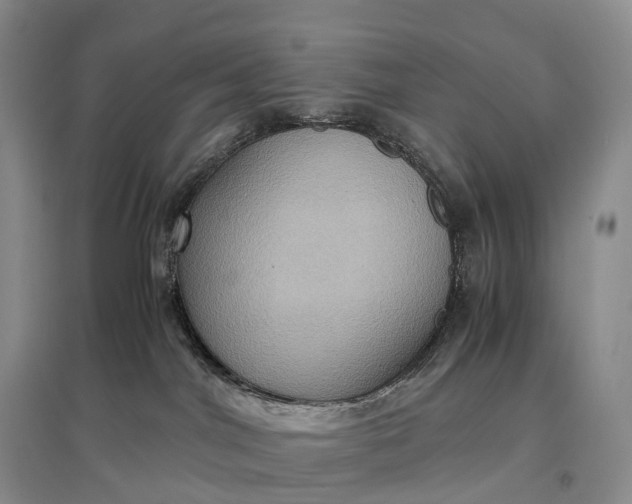 X0000097600044200803141926