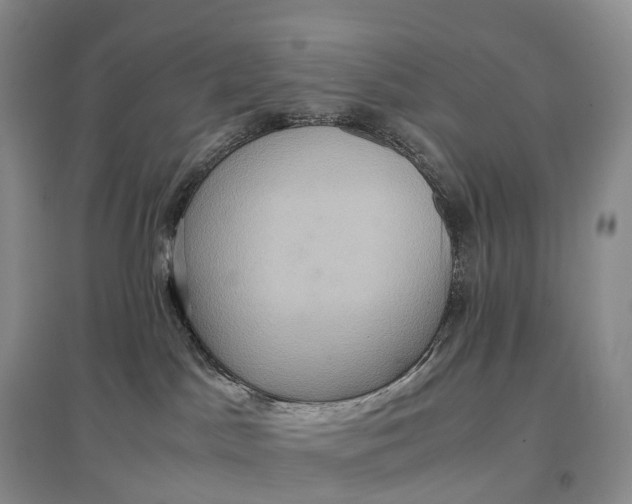 X0000097600045200803141926