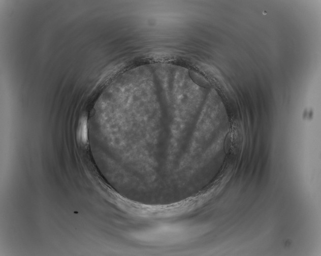 X0000097600046200803141926