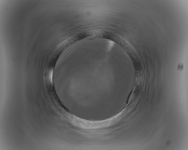 X0000097600047200803141926