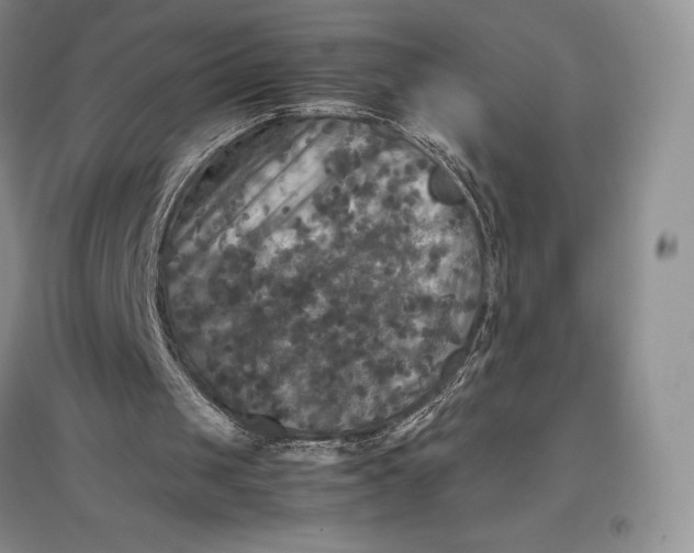 X0000097600049200803141925