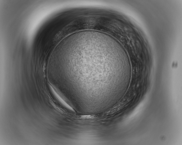 X0000097600050200803141925