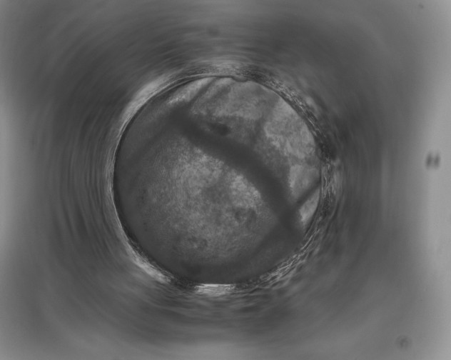 X0000097600051200803141925