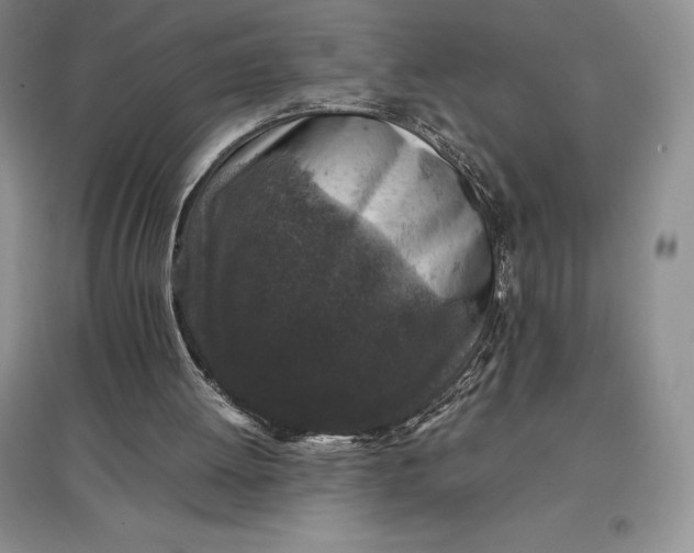 X0000097600052200803141925