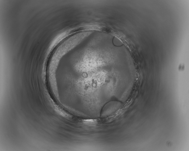 X0000097600053200803141925