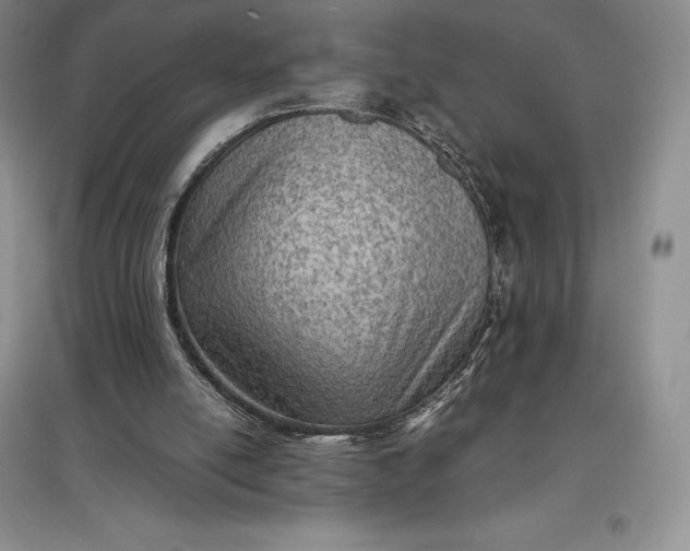 X0000097600054200803141925