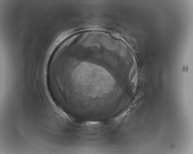 X0000097600055200803141925
