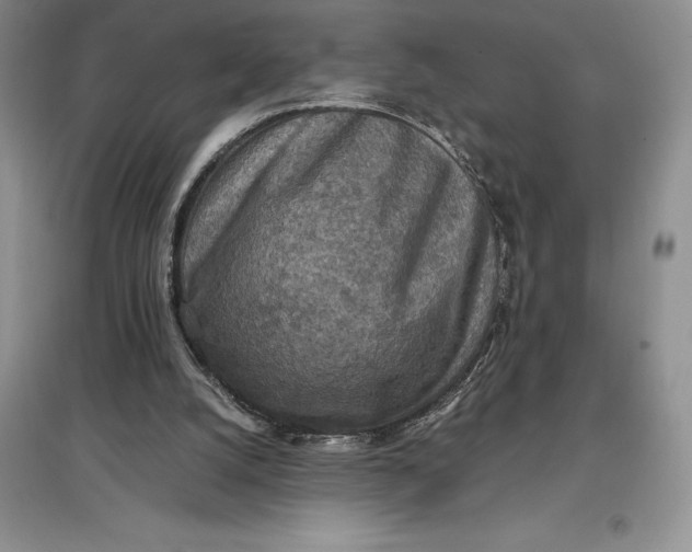 X0000097600056200803141925
