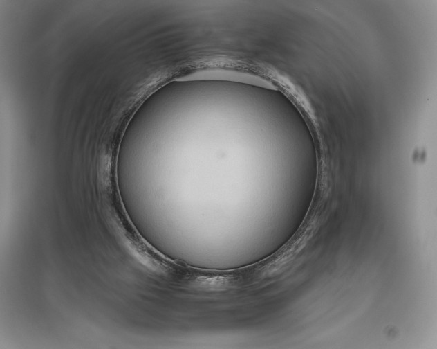 X0000097600057200803141925