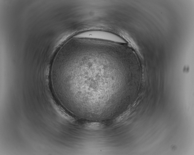 X0000097600058200803141925