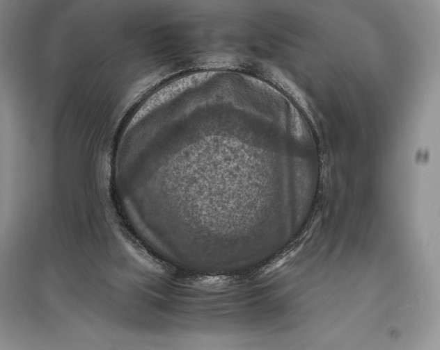X0000097600059200803141925