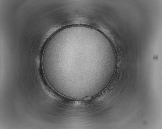 X0000097600060200803141925