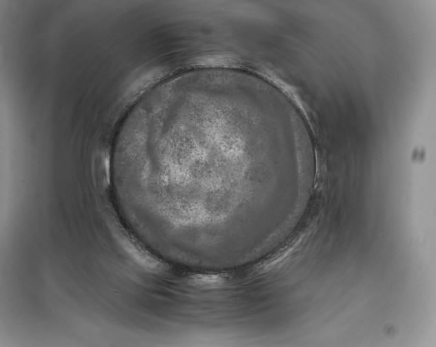 X0000097600061200803141925