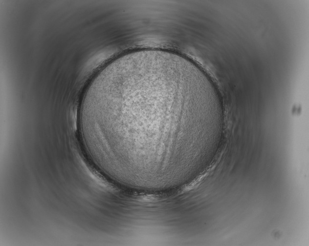 X0000097600062200803141925