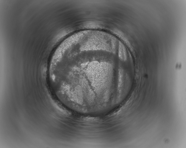 X0000097600063200803141925