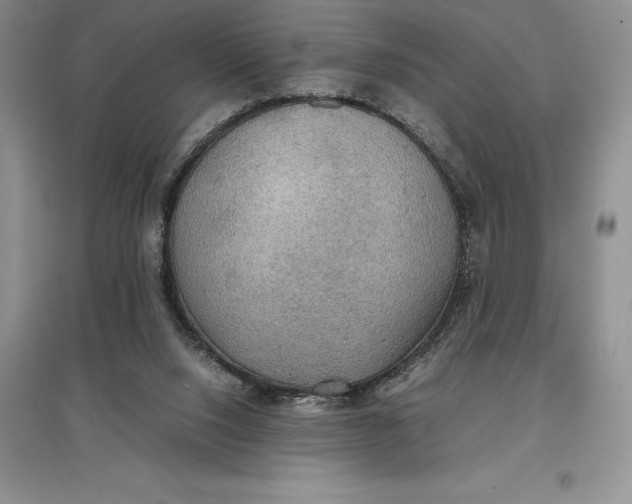 X0000097600064200803141925