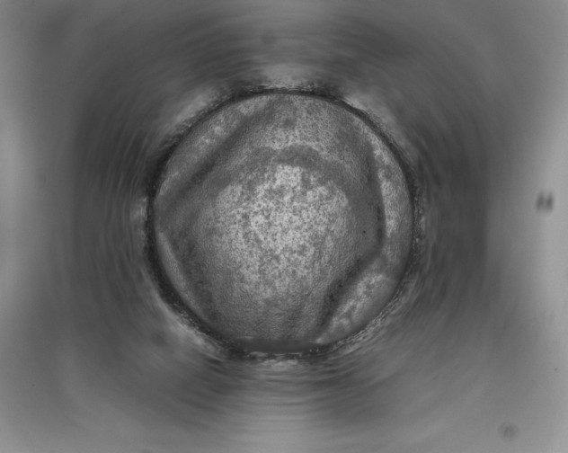 X0000097600066200803141925